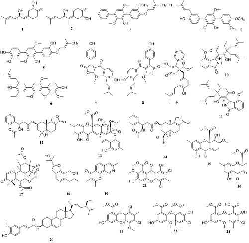 1694250920944409.png 图片13.png